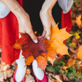 All Saints' Day Fair in Gósol