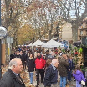 Fira del Bosc i la Pagesia a Vallgorguina