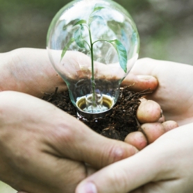 Environmental Fair in Tàrrega