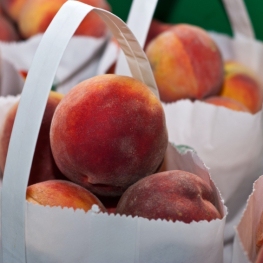 Pinyana Peach Fair in Alfarràs