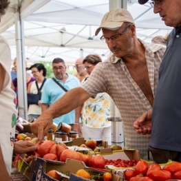 Foire aux tomates de Santa Eulalia de Ronçana
