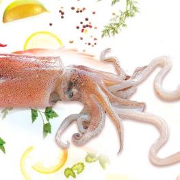 Gastronomic days of the Squid of Arenys.Calamarenys