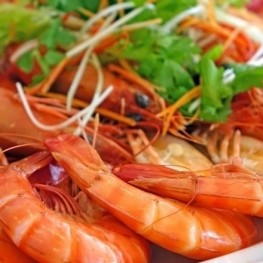 Gastronomic Days of the Shrimp in Salou