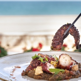 Journées gastronomiques de Mont-roig et Miami Platja Octopus
