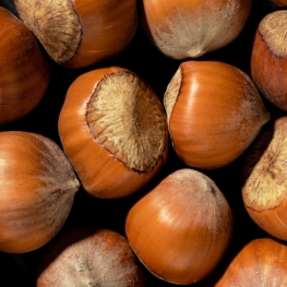 Chestnut in Guils de Cerdanya