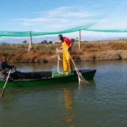 La Tancada fishing in MónNatura Delta