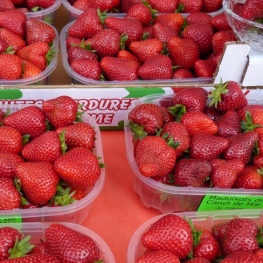 Marché aux fraises et fête des fraises à Canet de Mar