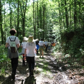 Marcha Popular por la Oncoliga en Sant Hilari Sacalm