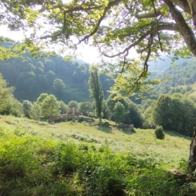 Milanyada en Vallfogona de Ripollès