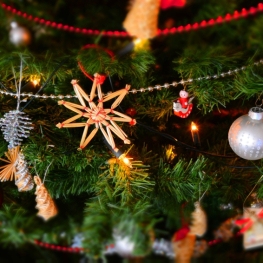 Nadal i Festa Major d'Hivern del Pla de Santa Maria