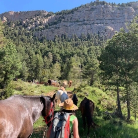 Transhumància, Creuem el Cadí amb la Fundació Miranda