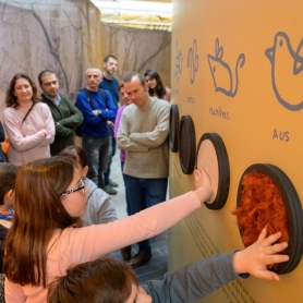 Visita guiada a l'exposició: "Tu Investigues!" a Granollers