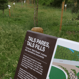 Guided tour of the Pertegàs Grove in Sant Celoni