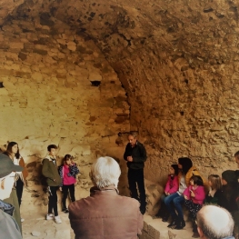 Guided visit to the Castle of Sant Esteve