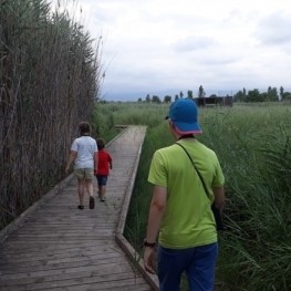 Visits to the natural area of the Acequia Mayor