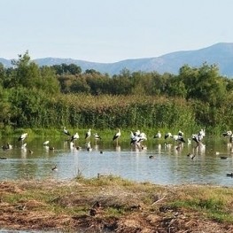 Spring visits in the natural spaces of the Empordà