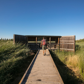 Visites guiades gratuïtes a la Séquia Major de Vila-seca