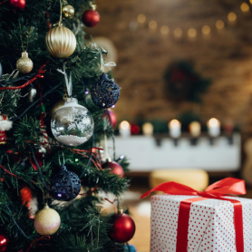 Viu el Nadal a Bolvir!