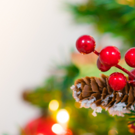 Viu el Nadal a Cunit!