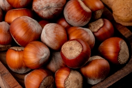 Chestnut Festival in Avià