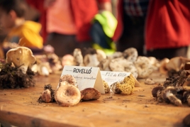 Fête des champignons à Santa Susanna