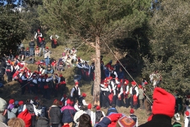 Fête du Pin de Centelles