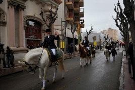Festes de Sant Antoni Abat a Olesa de Montserrat
