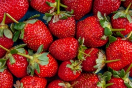 Sant Cebrià de Vallalta Strawberry Fair