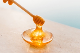 Foire du miel biologique de Sant Pere de Vilamajor