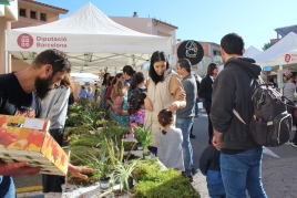 Fira de la tardor a Castellví de Rosanes