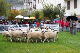 Fira de Tardor de Sort