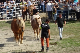 Spring Fair of the Catalan Pyrenean Horse in Llavorsí
