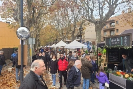 Foire forestière et paysanne de Vallgorguina