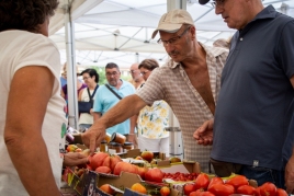 Feria del Tomate de Santa Eulalia de Ronçana
