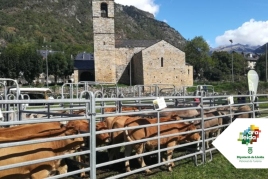 Fira Ramadera de Barruera a la Vall de Boí