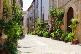 Les Garrigues Guarnides (Les Garrigues en Fleurs)