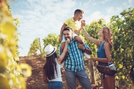 The Cava Harvest is back!