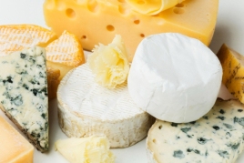 Lactium, dégustation de fromages catalans à Vic