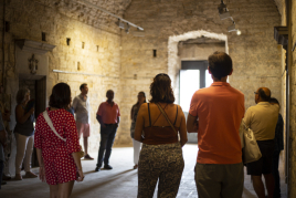 Visita guiada al Castell-Palau i al Nucli Antic de la Bisbal…