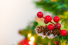 Viu el Nadal a Cunit!