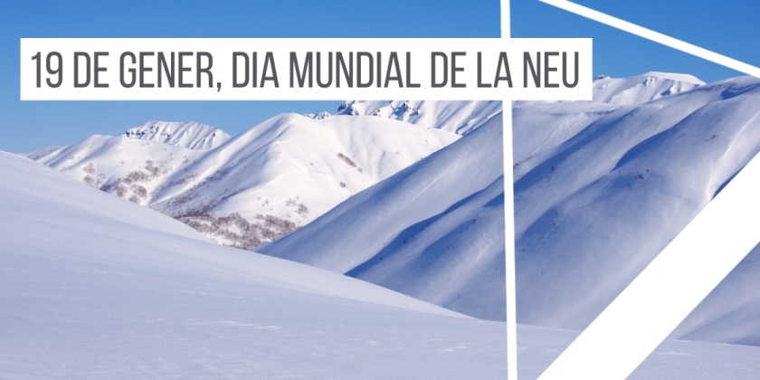 19-de-gener-dia-mundial-de-la-neu