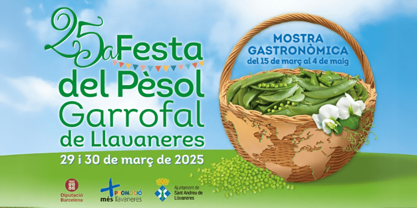 festa-del-pesol-sant-andreu-de-llavaneres