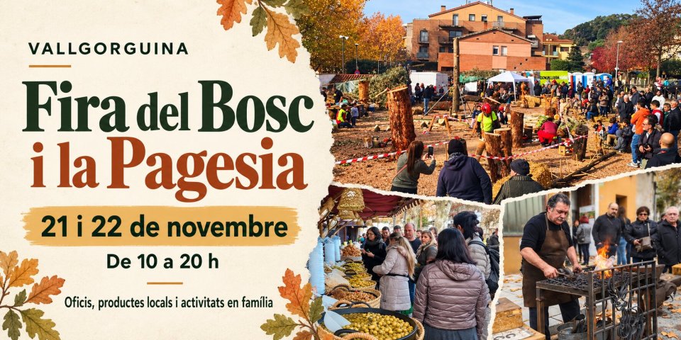 fira-bosc-i-pagesia-vallgorguina