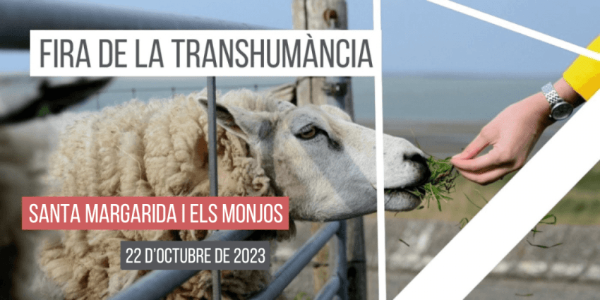 fira-transhumancia-santa-margarida-i-els-monjos