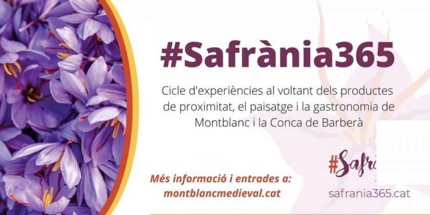safrania365-a-montblanc