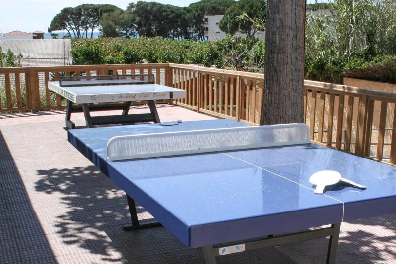 Càmping Joan (Camping Joan Pingpong)