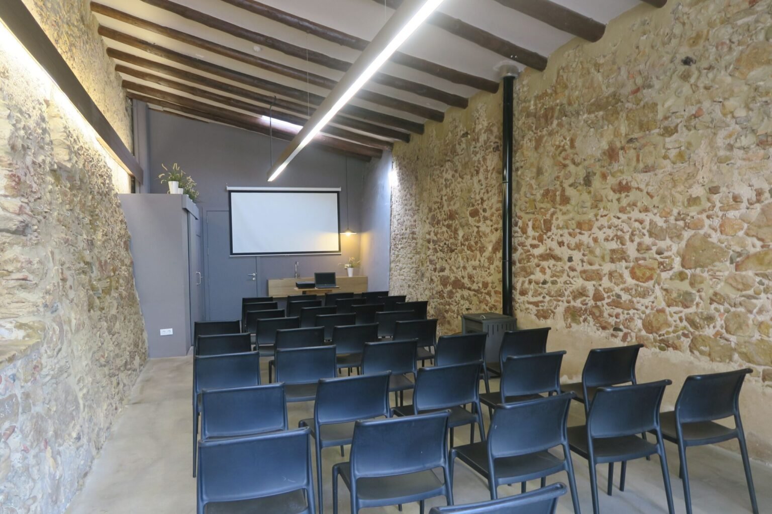 Cal Rei Vinyes (Cal Rei Vinyes)