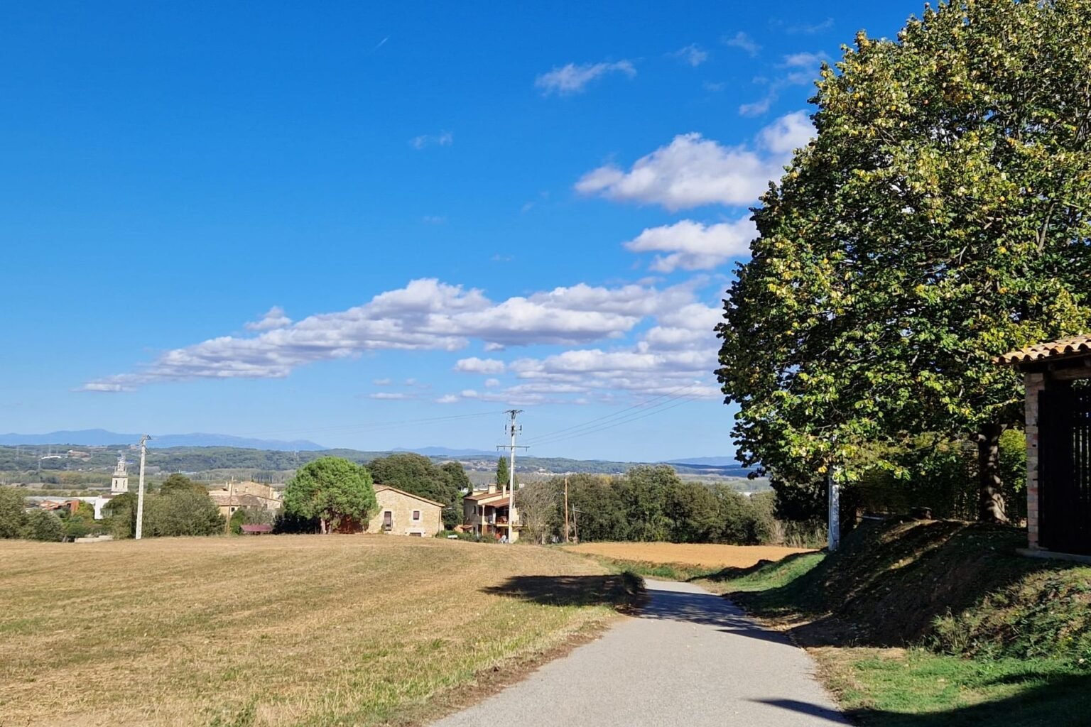 Cal Rei Vinyes (Cal Rei Vinyes)