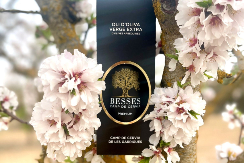 Camp de Cervià de les Garrigues ( Cooperativa Cervia)