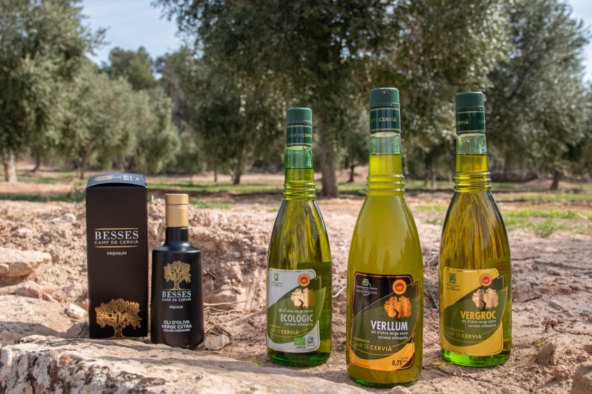 Camp de Cervià de les Garrigues ( Cooperativa Cervia)